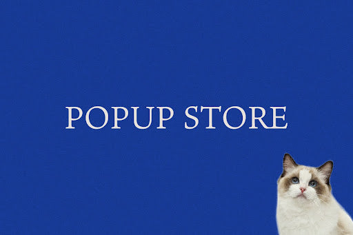 【しろいし洋菓子店】2025年1月のPOPUPストア情報