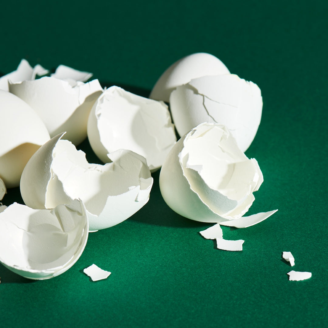 【Re:BAKE】リボーンクッキー(フロランタン)