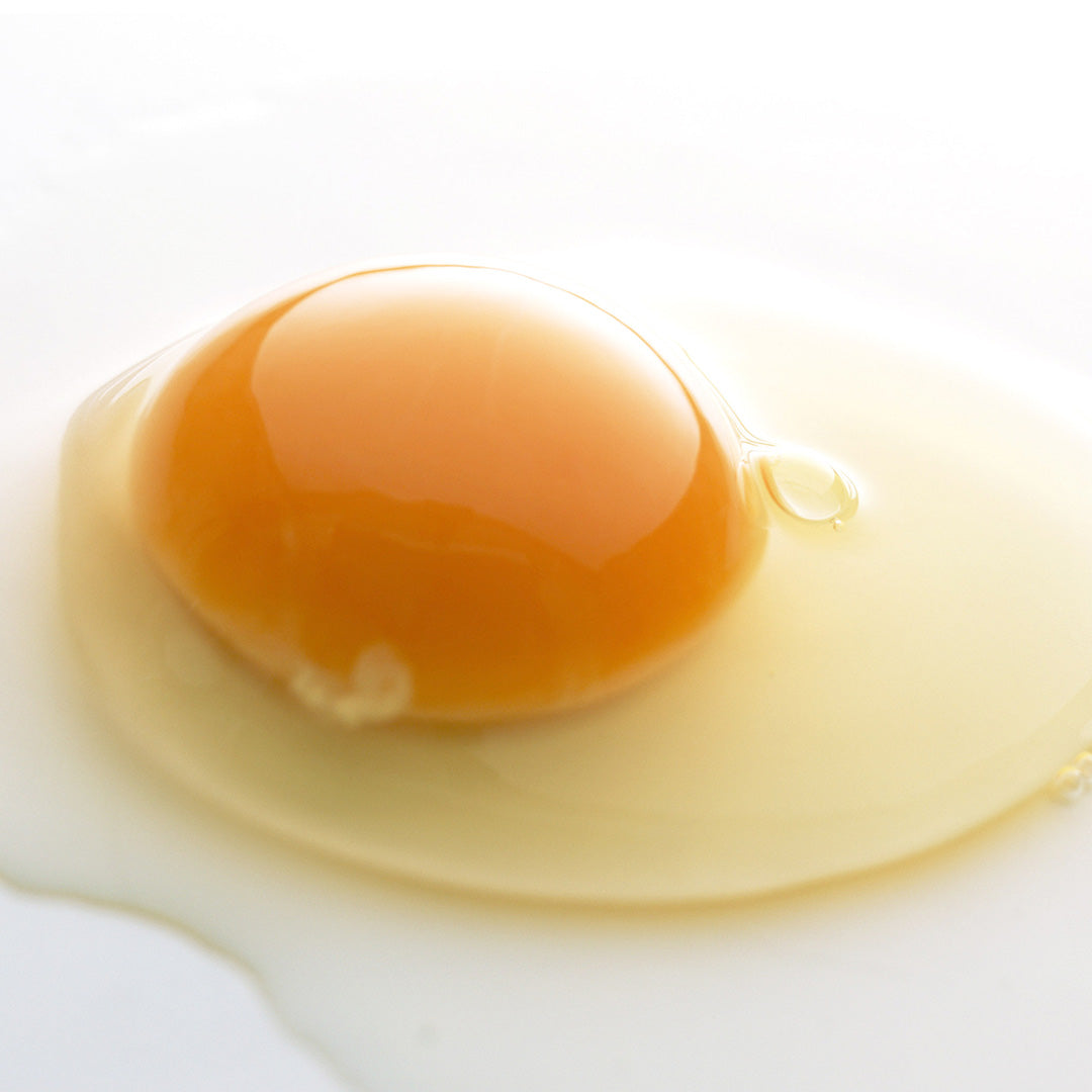 【奥出雲前綿屋】奥出雲ぷりん3個入