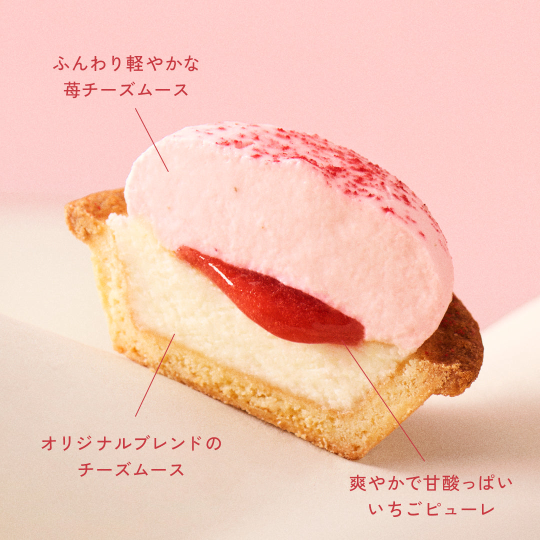 フロマージュタルト6P BOX〈ふんわり苺〉