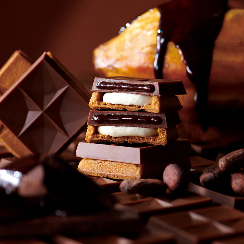 ショコラアソート8個入 2026VT