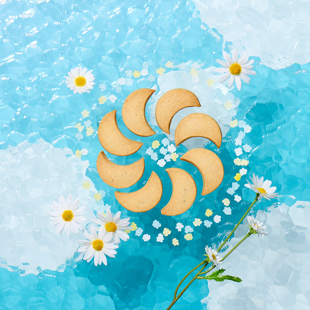 しろいし洋菓子店のクッキー缶~湖のほとりの花束~