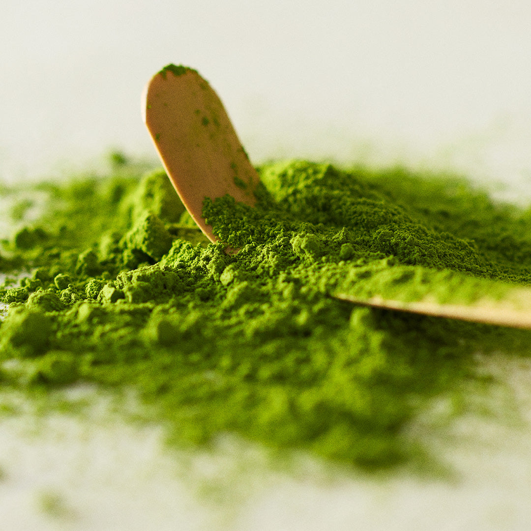 【CAKE.TOKYO】島根県産 出雲抹茶のティグレ 3個入