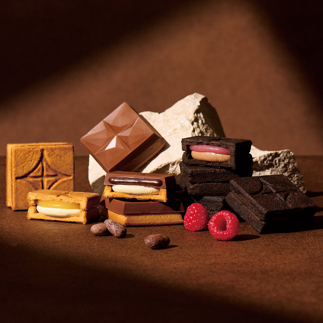 ショコラアソート8個入 2026VT