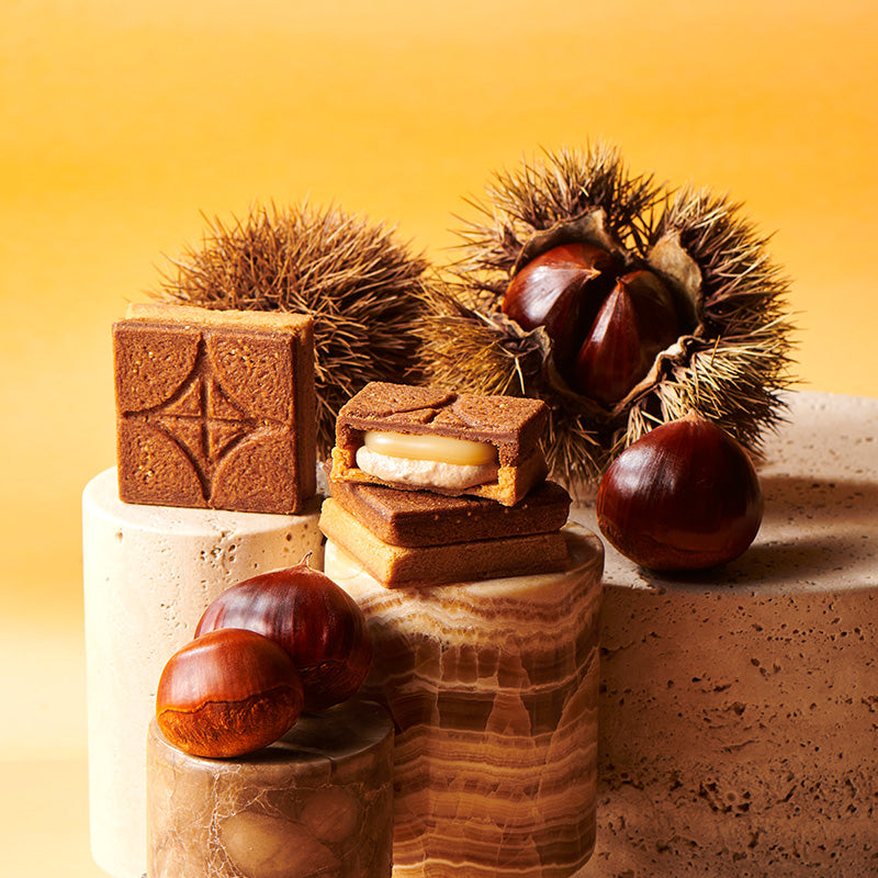 バターサンド2種セット贈り物〈栗〉10個入