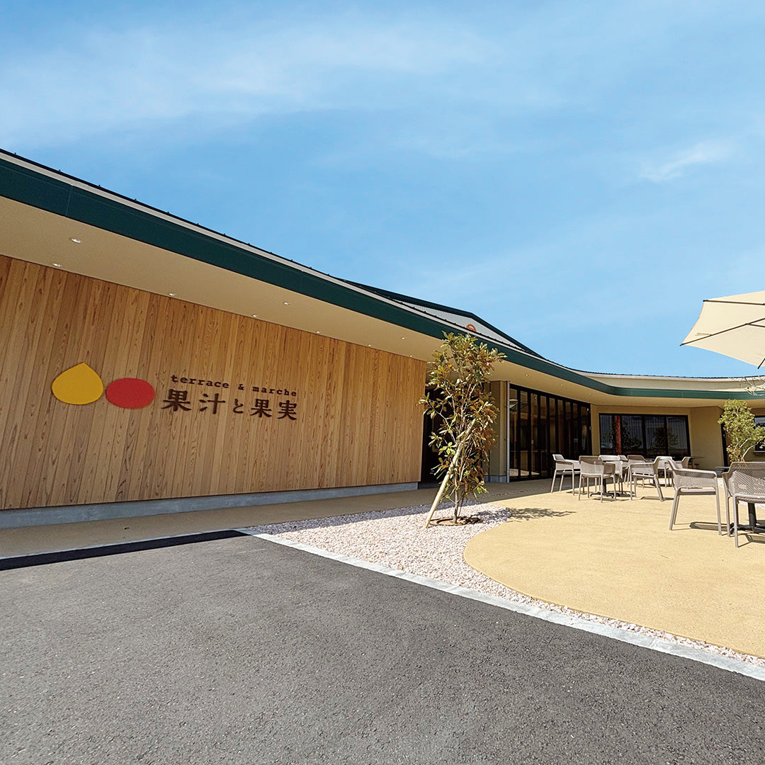 【早和果樹園】もっちり有田みかんゼリー(袋入)