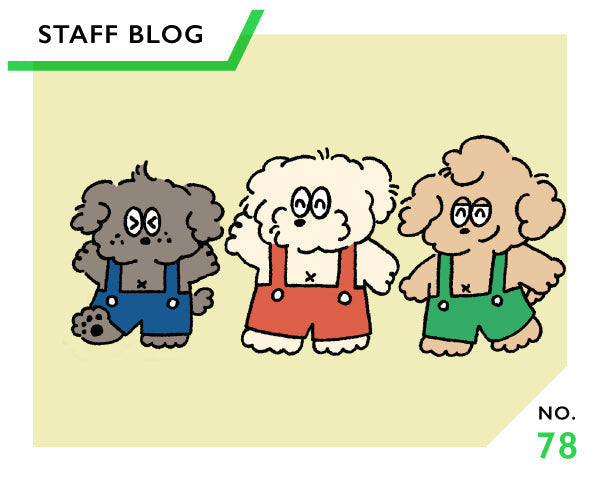 お得なクーポンや占いも！？実はこんなに進化してた！BAKE公式アプリをスタッフが使ってみました🐶