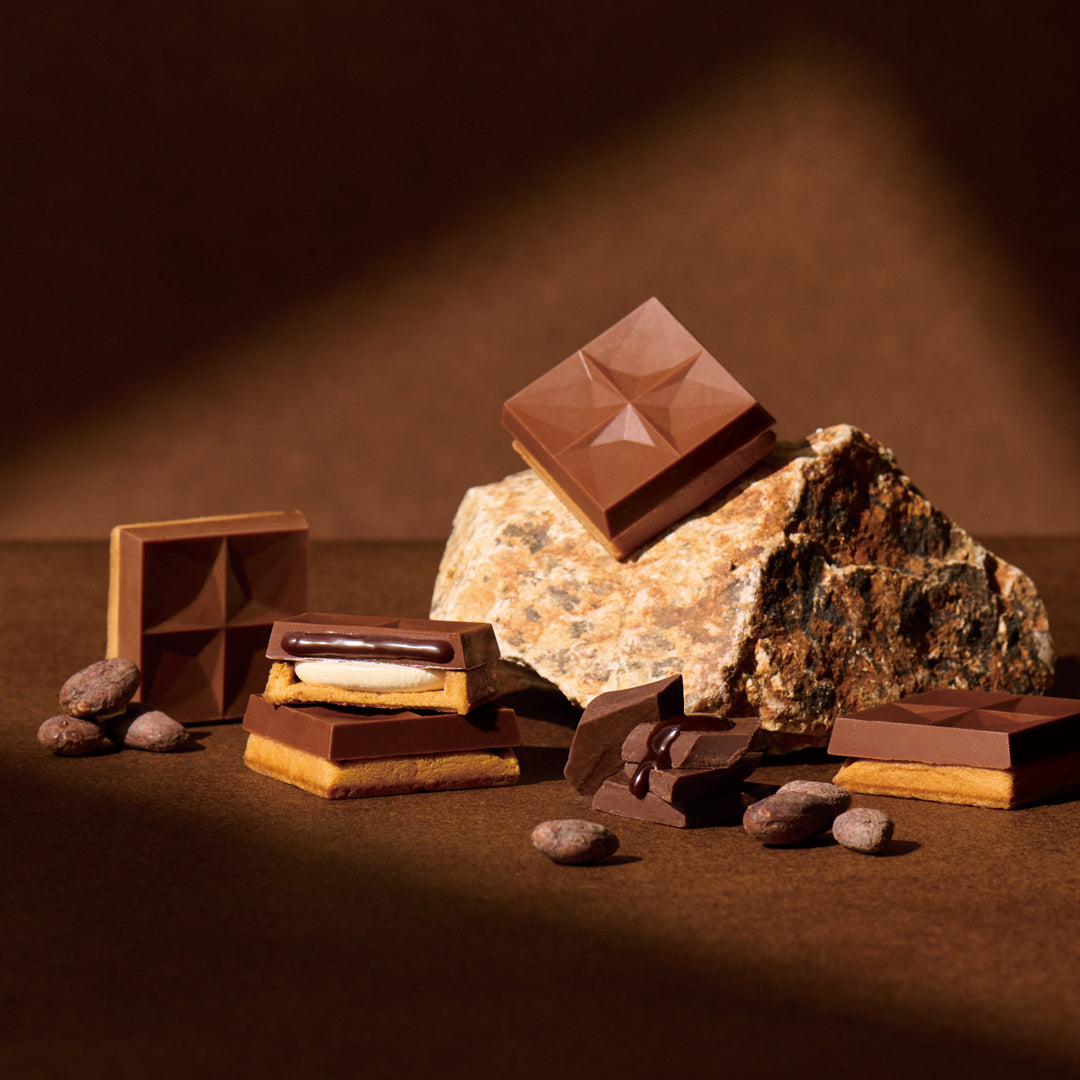 ショコラアソート8個入