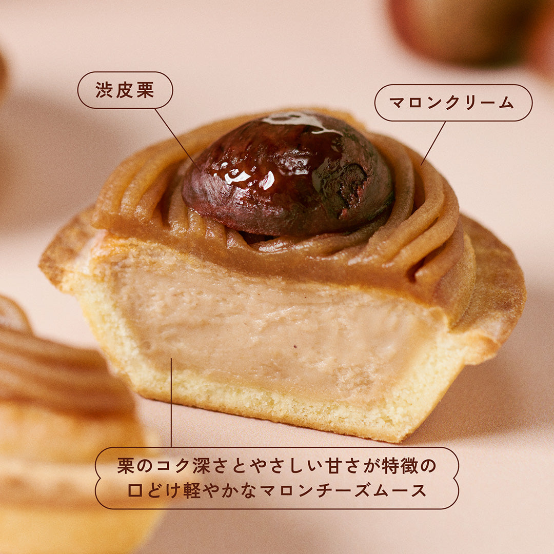 チーズタルト6P BOX〈オリジナルチーズタルト3個・モンブランチーズタルト3個〉