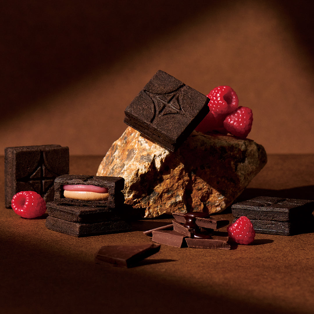 バターサンド2種セット贈り物〈ショコラシリーズ〉10個入 2026VT