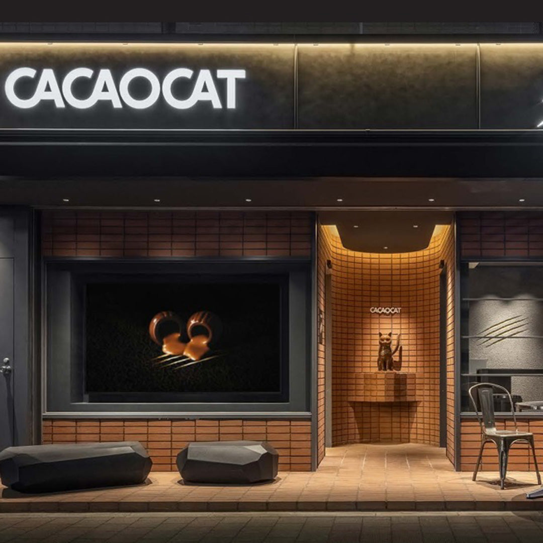 【CACAOCAT】DREAMINGCACAOCAT ミルク 5個入り